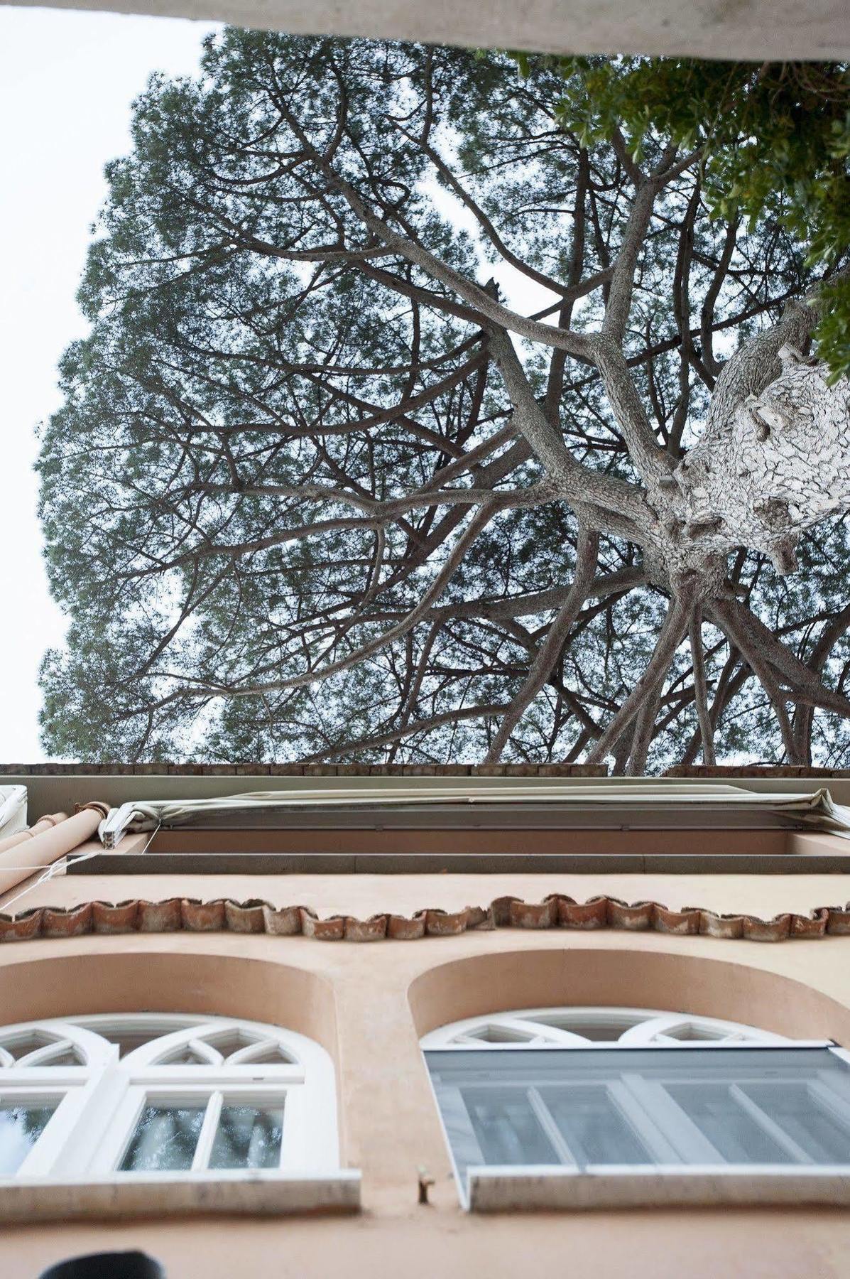 Appartement La Casa Di Carla à Ravello Extérieur photo